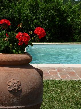 Apartamento de vacaciones en Lucignano (Arezzo)Casa de vacaciones