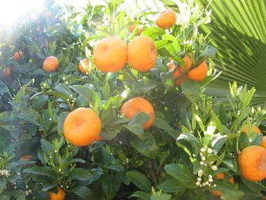 Casa de vacaciones en Llucmajor (Mallorca)Casa de vacaciones