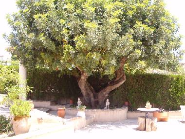 Casa de vacaciones en CHIVA (Valencia / Val�ncia)Casa de vacaciones