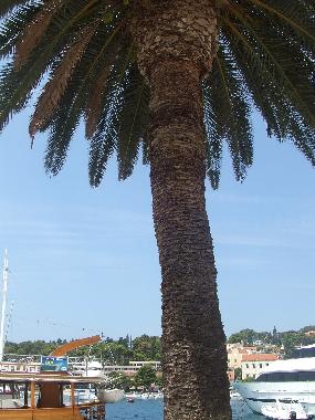 Apartamento de vacaciones en HVAR (Splitsko-Dalmatinska)Casa de vacaciones