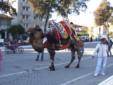 Cama y desayuno en Tuzla (Mugla)Casa de vacaciones