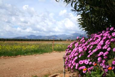 Casa de vacaciones en Sa Pobla (Mallorca)Casa de vacaciones