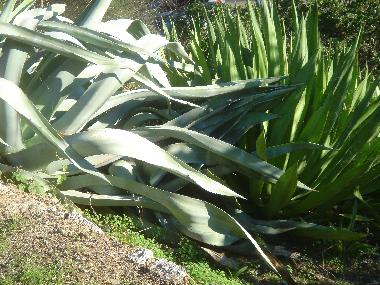 Casa de vacaciones en Carvoeiro (Algarve)Casa de vacaciones