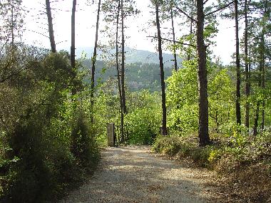 Villa en Moli�res sur C�ze (Gard)Casa de vacaciones