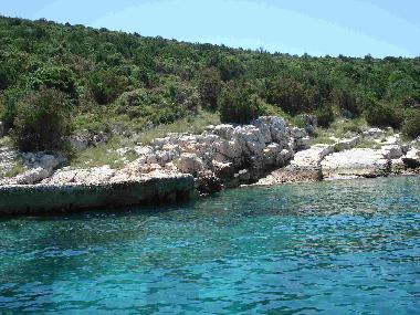 Apartamento de vacaciones en Vini�će (Splitsko-Dalmatinska)Casa de vacaciones