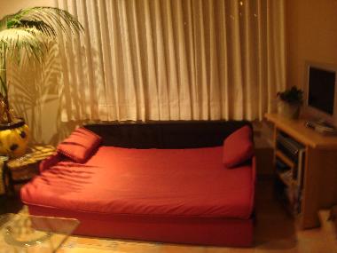 sof�-cama del sal�n
