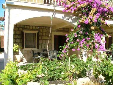 Apartamento de vacaciones en Vini�će (Splitsko-Dalmatinska)Casa de vacaciones