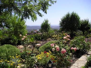 Apartamento de vacaciones en Loule (Algarve)Casa de vacaciones