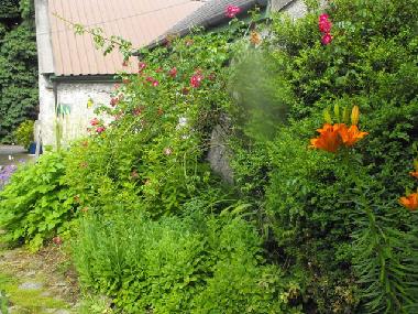 Casa de vacaciones en Lusmagh, Banagher (Offaly)Casa de vacaciones