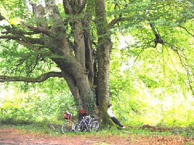 Casa de vacaciones en Lusmagh, Banagher (Offaly)Casa de vacaciones