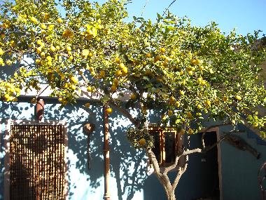 Palacio / Castillo en art (Mallorca)Casa de vacaciones