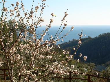 Apartamento de vacaciones en Moneglia (Genova)Casa de vacaciones