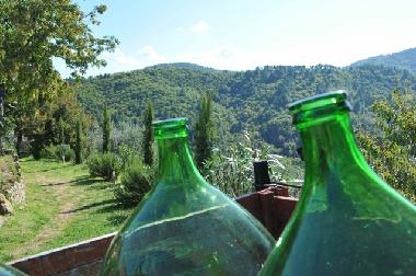 Apartamento de vacaciones en Montevarchi (Arezzo)Casa de vacaciones