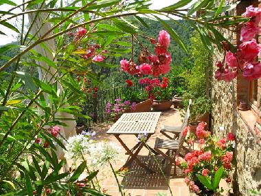 Apartamento de vacaciones en Montevarchi (Arezzo)Casa de vacaciones