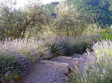 Apartamento de vacaciones en Montevarchi (Arezzo)Casa de vacaciones