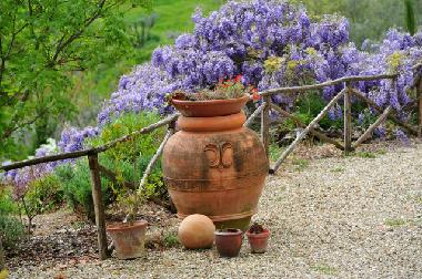 Apartamento de vacaciones en Montevarchi (Arezzo)Casa de vacaciones