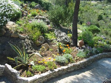 Apartamento de vacaciones en Vis (Splitsko-Dalmatinska)Casa de vacaciones