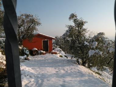 Casa de vacaciones en Montecatini Terme (Pistoia)Casa de vacaciones