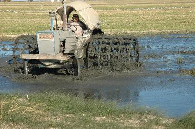 Apartamento de vacaciones en L'Ampolla (Tarragona)Casa de vacaciones