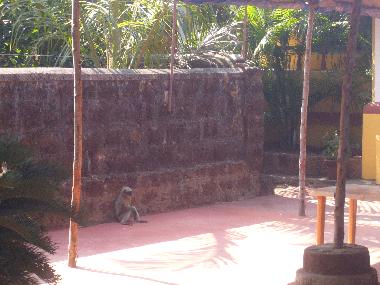 Chalet en Vagator-Anjuna,Bardez Goa (Goa)Casa de vacaciones