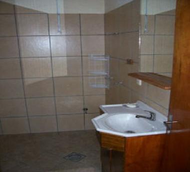 La gran ducha en los ba�os modernos