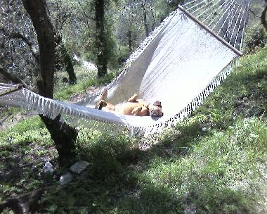 Casa de vacaciones en Montemagno (Lucca)Casa de vacaciones