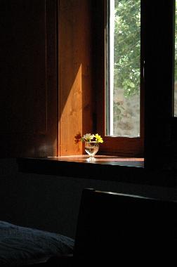 Casa de vacaciones en Figueir� dos Vinhos (Pinhal Interior Norte)Casa de vacaciones