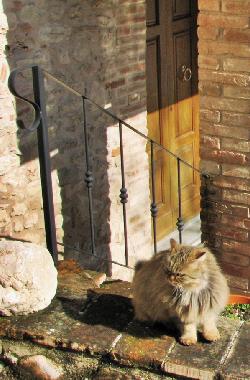 Casa de vacaciones en Sarnano (Macerata)Casa de vacaciones