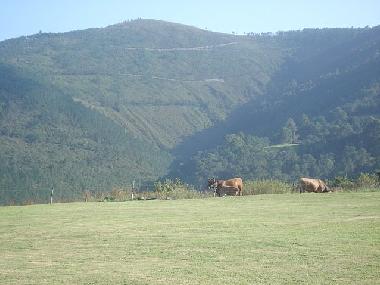 Apartamento de vacaciones en Valdes (Asturias)Casa de vacaciones