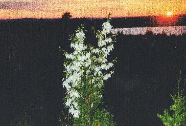 Casa de vacaciones en Balaton-Alm�di (Veszprem)Casa de vacaciones