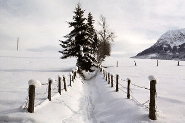 Apartamento de vacaciones en Abtenau (Salzburg und Umgebung)Casa de vacaciones