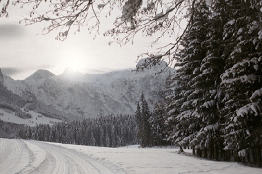 Apartamento de vacaciones en Abtenau (Salzburg und Umgebung)Casa de vacaciones