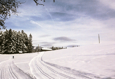 Apartamento de vacaciones en Abtenau (Salzburg und Umgebung)Casa de vacaciones