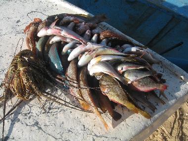 Casa de vacaciones en LAS TERRENAS (Samana)Casa de vacaciones