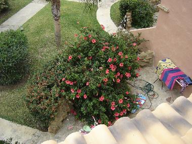 Vista de la terraza alta al terraza jardin de la casa