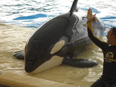 Apartamento de vacaciones en costadelsilencio (Teneriffa)Casa de vacaciones