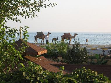 Apartamento de vacaciones en Tosmur (Antalya)Casa de vacaciones