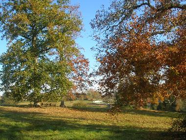 Apartamento de vacaciones en Ronsenac (Charente)Casa de vacaciones