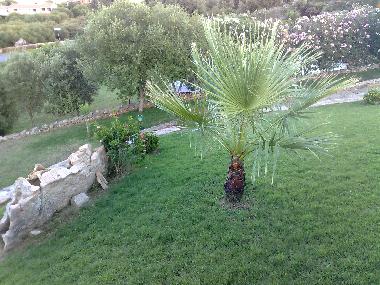 Casa de vacaciones en porto ottiolu (Olbia-Tempio)Casa de vacaciones