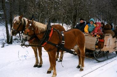Casa de vacaciones en Lechbruck am See (Bayerische Schwaben)Casa de vacaciones