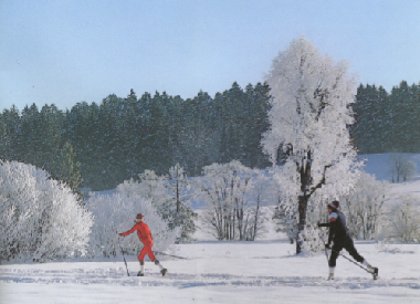 Casa de vacaciones en Lechbruck am See (Bayerische Schwaben)Casa de vacaciones