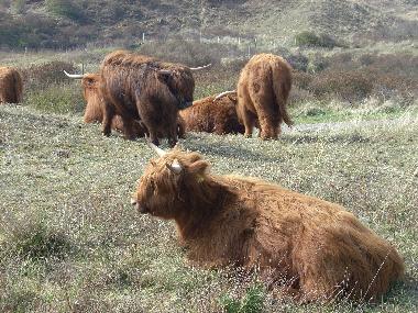Casa de vacaciones en Egmond aan Zee (Noord-Holland)Casa de vacaciones