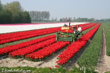 Casa de vacaciones en Egmond aan Zee (Noord-Holland)Casa de vacaciones