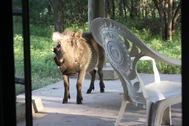 Casa de vacaciones en Marloth park (Mpumalanga)Casa de vacaciones