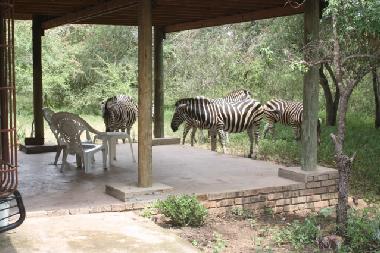 Casa de vacaciones en Marloth park (Mpumalanga)Casa de vacaciones
