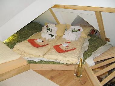 Cama y desayuno en Bad Berleburg (Siegerland-Wittgenstein)Casa de vacaciones