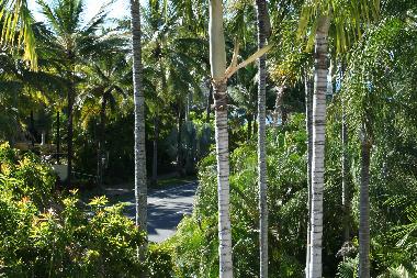 Apartamento de vacaciones en PORT DOUGLAS ('Sunny' Queensland) (Queensland)Casa de vacaciones
