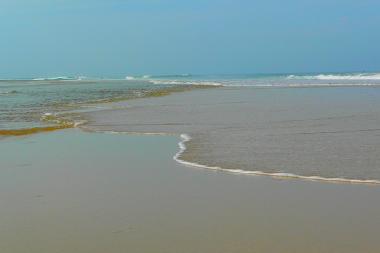 Casa de vacaciones en Cap-Ferret (Gironde)Casa de vacaciones