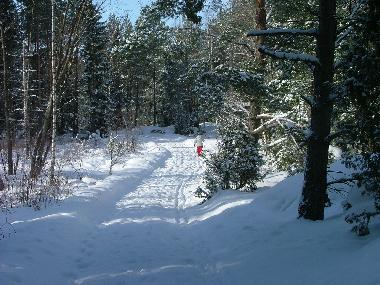 Casa de vacaciones en Drottningholm, Stockholm (Stockholm)Casa de vacaciones