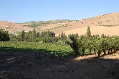 Casa de vacaciones en Calatafimi Segesta (Trapani)Casa de vacaciones